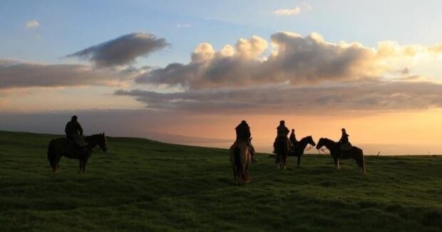 rider on horseback in open pasture, warm golden light, coast visible