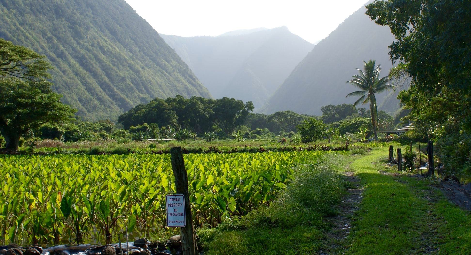 farm tours big island