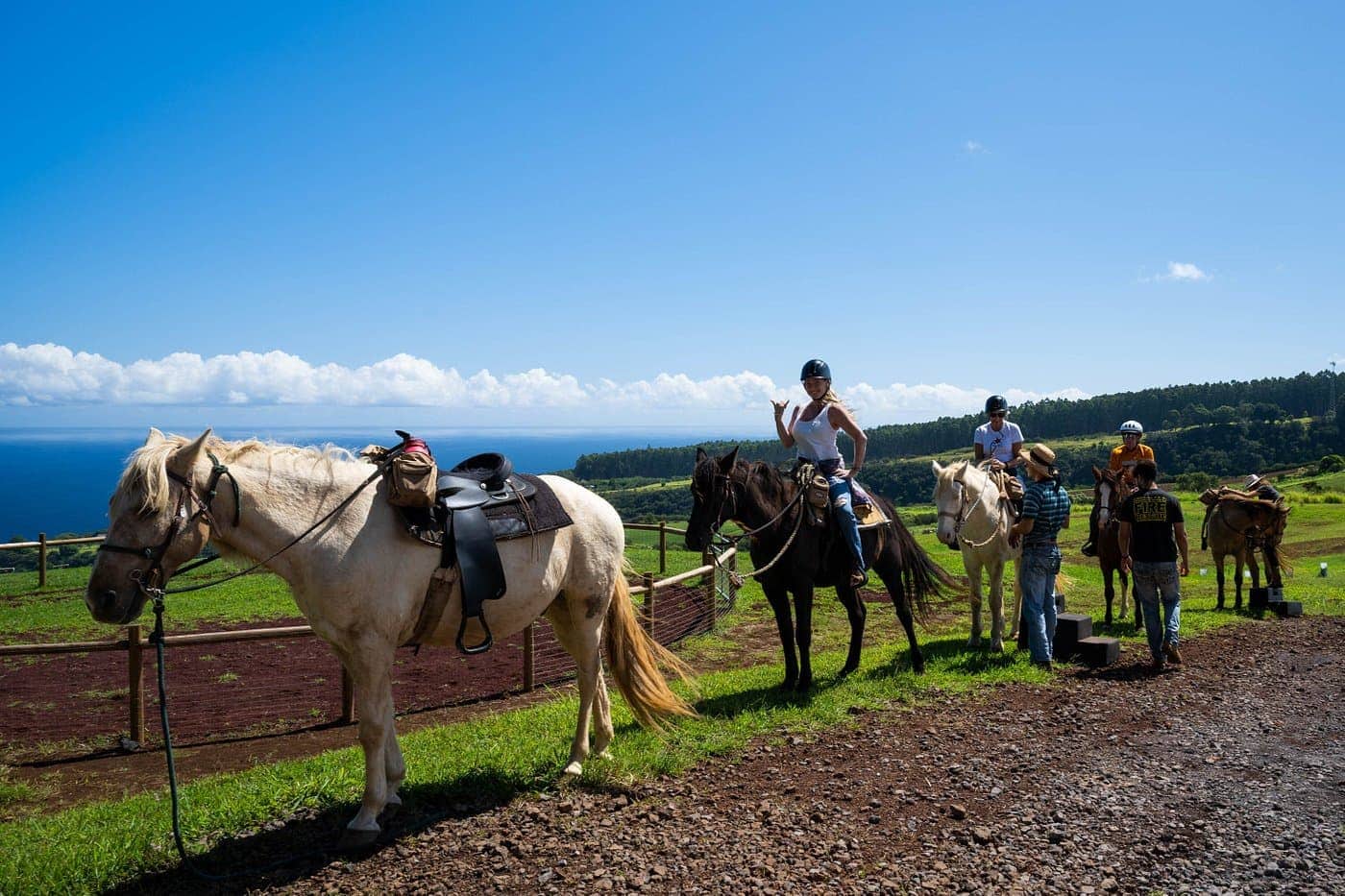 Hamakua Coast Horseback Riding Tour With Pizza Lunch 3 Hours 159 Hamakua Coast Horseback Riding Tour With Pizza Lunch 3 Hours 159