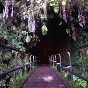 Nāhuku - Thurston Lava Tube hawaii volcanoes national park big island hawaii