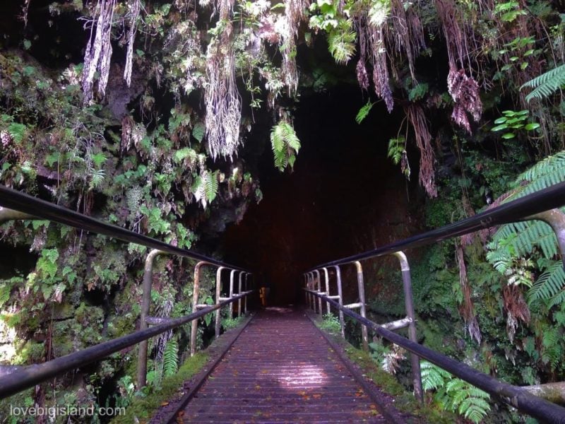 Nāhuku - Thurston Lava Tube hawaii volcanoes national park big island hawaii