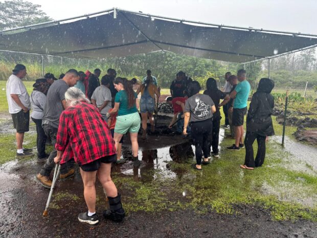 Group works around the imu under a tent during heavy rain at the Imu Mea ʻAi food tour near Pāhoa