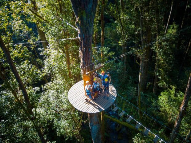Four guests in helmets on a round tree platform beside a sky bridge