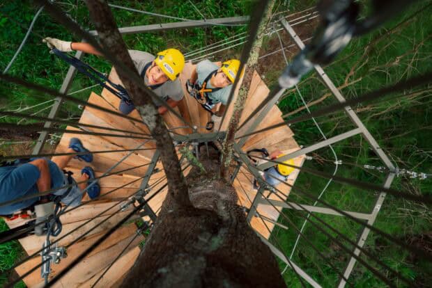 View up a tree trunk to a round wooden platform where guests in helmets wait between ziplines
