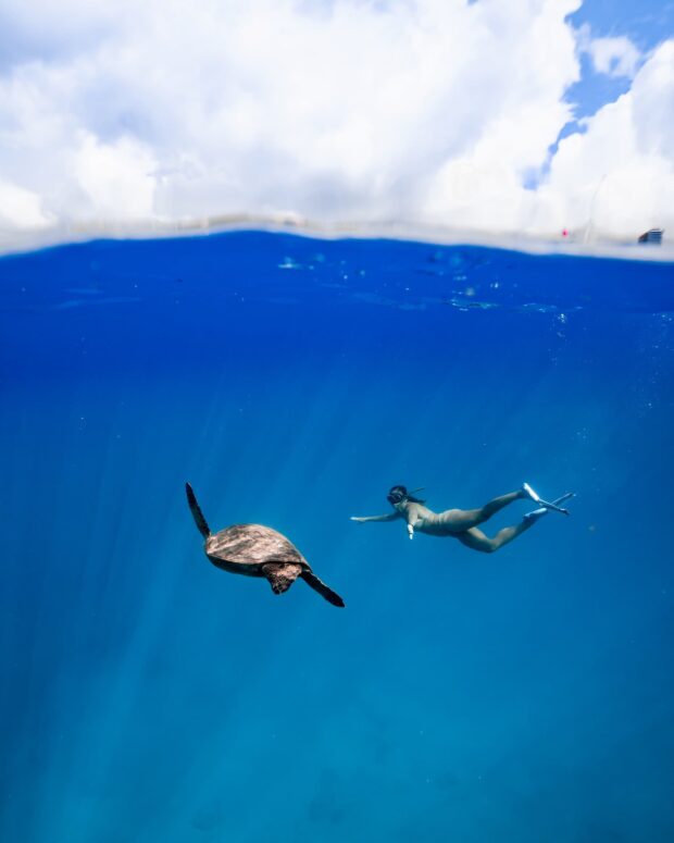girl and turtle under water