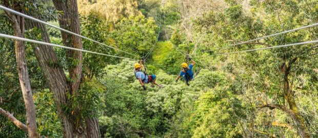 Two zipline riders crossing above a forested gulch in North Kohala
