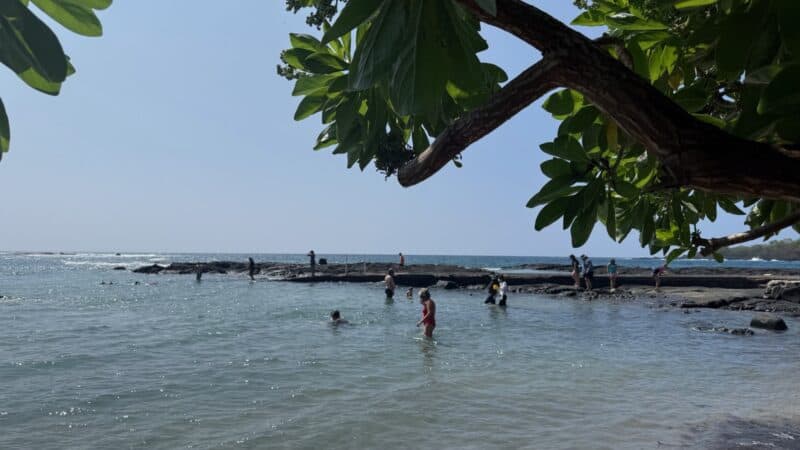 Wading snorkelers in calm water at the small beach beside the Two Step lava shelf at Hōnaunau Bay, people standing on the shelf behind