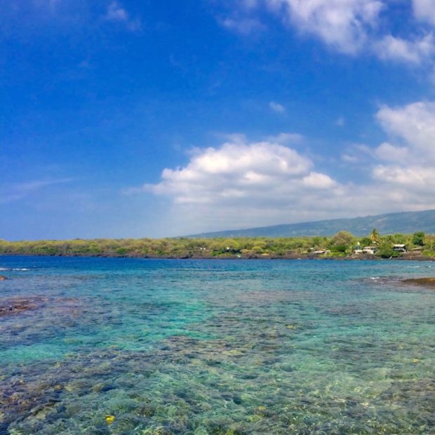 Two Step (snorkeling)