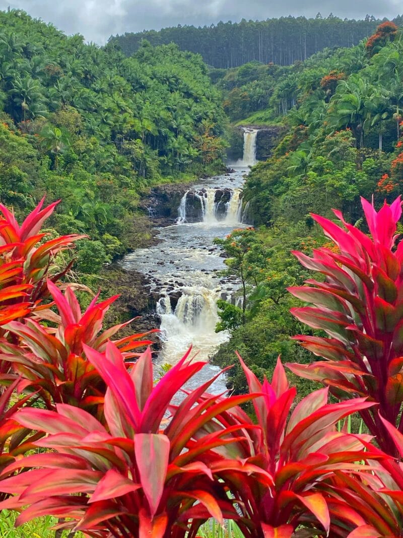 The famous triple-tiered Umauma Falls. 