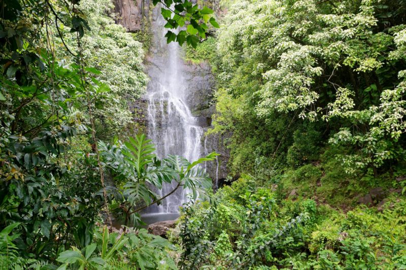 Upper Waikani Falls from the road