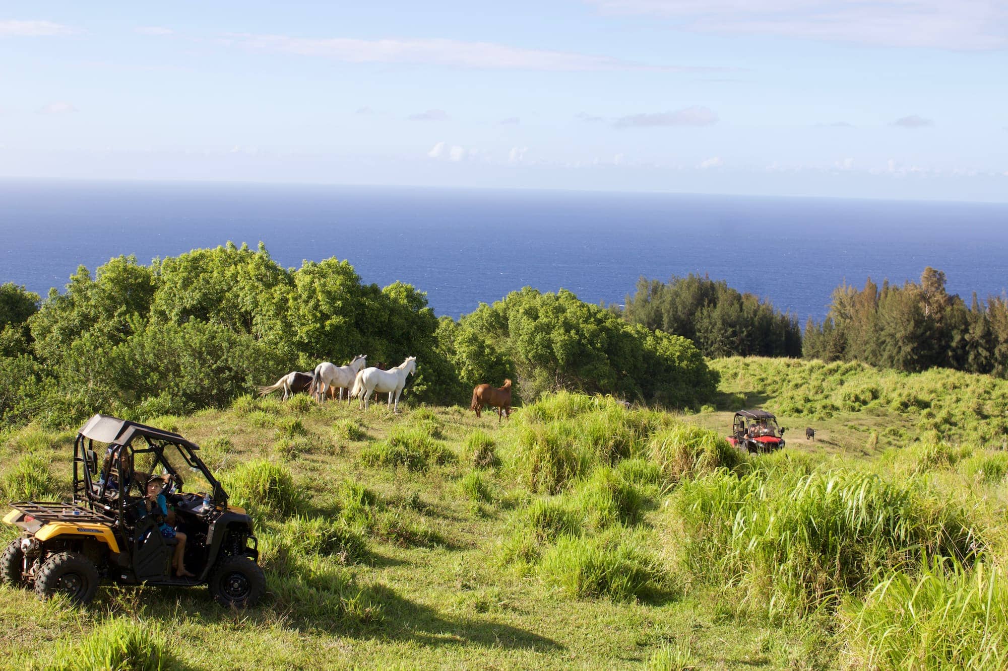 Explore Hawaii’s Rich Cultural Landscape on a UTV Farm Tour
