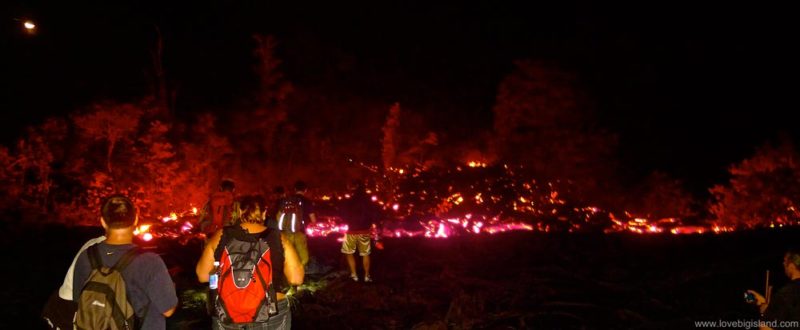 Visit to the Kalapana lava flow