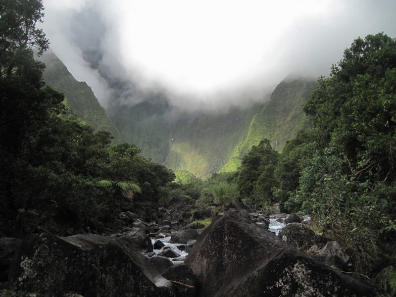 Views along the trail to the Waieleale Falls