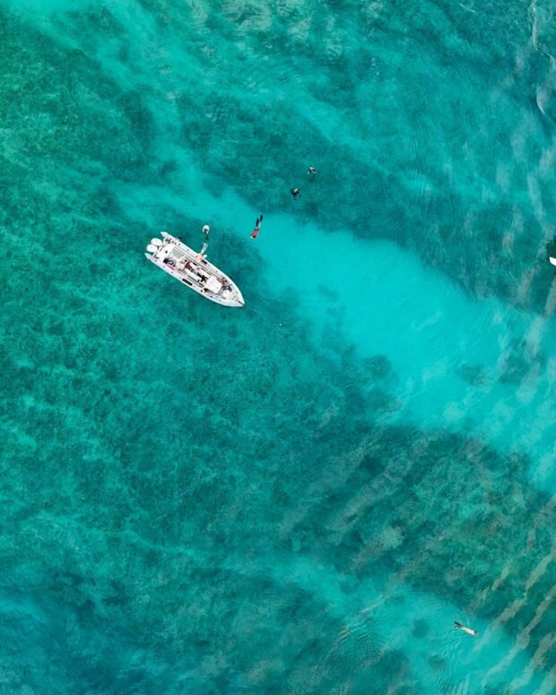 aerial image of zodiac and snorkelers
