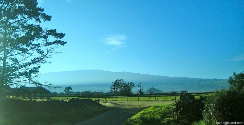 Waimea is yet another face of the Big Island, and often reminds us of the Scottish highlands
