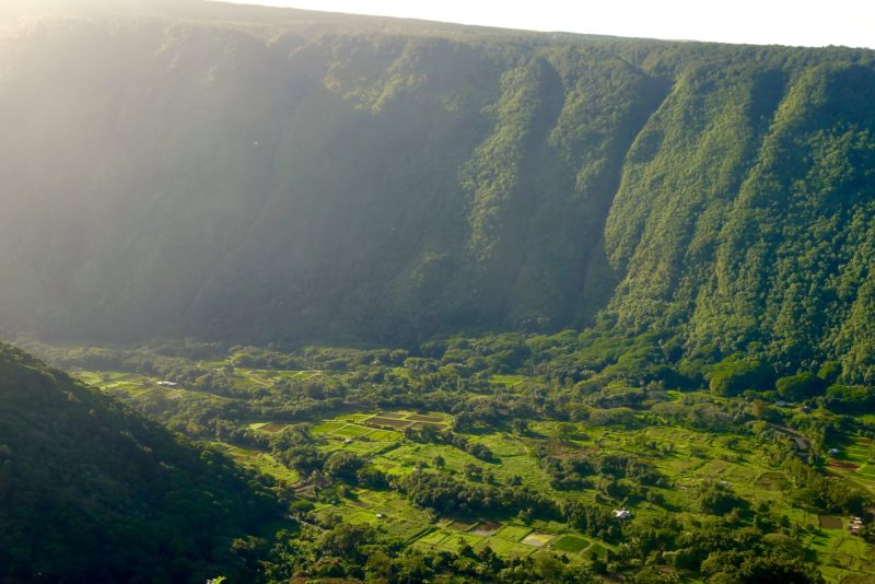 Waipio valley farm, big island