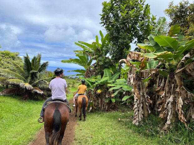 Two helmeted riders on horseback passing a row of banana plants on the Waipiʻo on Horseback ranch trail