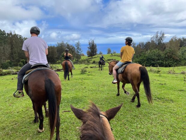 Small group on horseback crossing open ranch pasture toward an ocean horizon on the Hāmākua coast