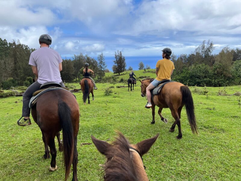 Small group on horseback crossing open ranch pasture toward an ocean horizon on the Hāmākua coast