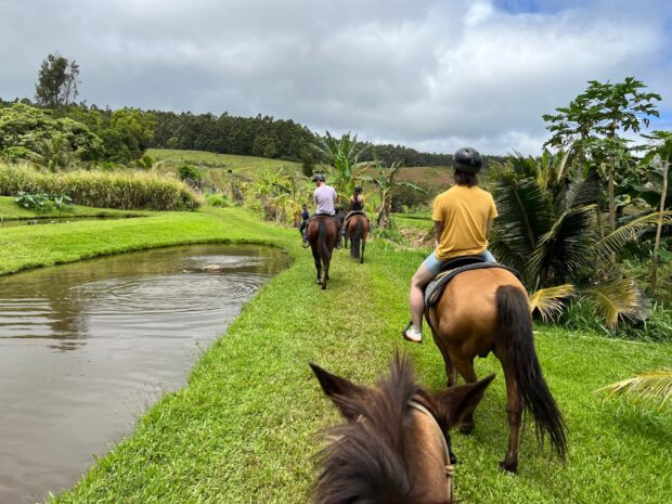 Riders on horseback following a grass path beside a ranch fishpond, Waipiʻo on Horseback