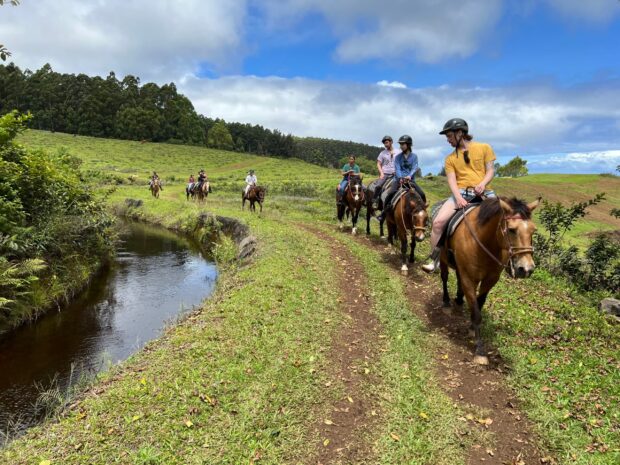 Line of riders on horseback on a ranch trail beside fishpond, Hāmākua coast