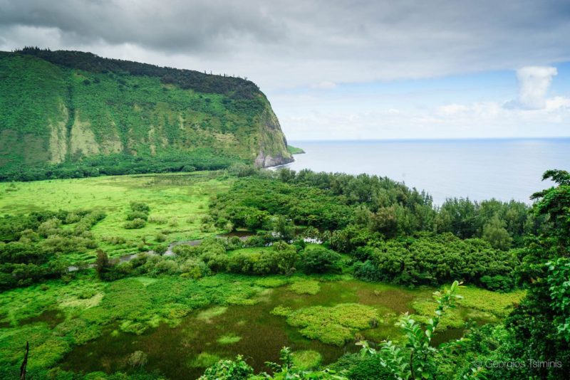 waipi'o valley access road, big island, hawaii