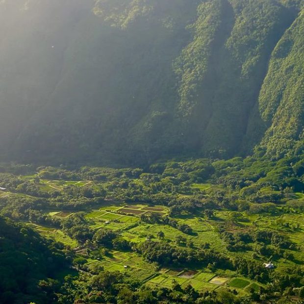 Waipi’o Valley