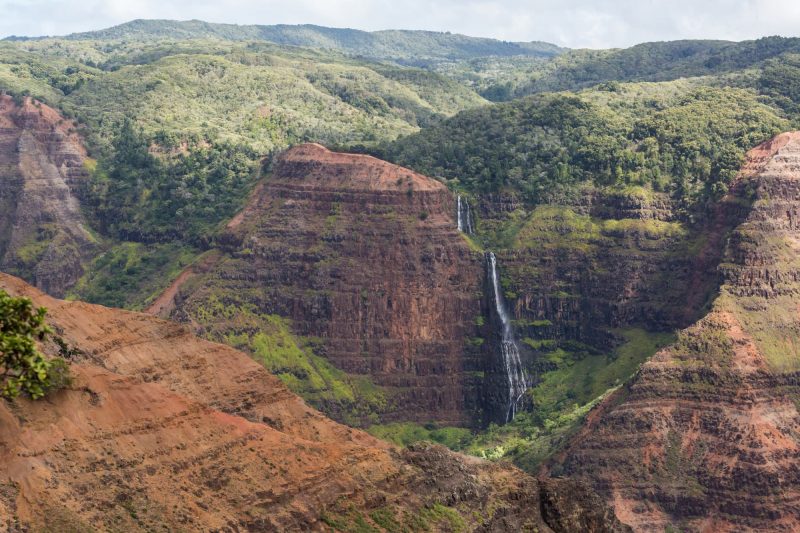 The Waipoʻo Falls as seen from a lookout along the canyon road