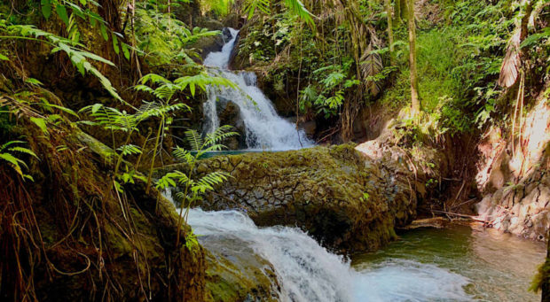 small waterfall in the hawaii tropical botanical gardens