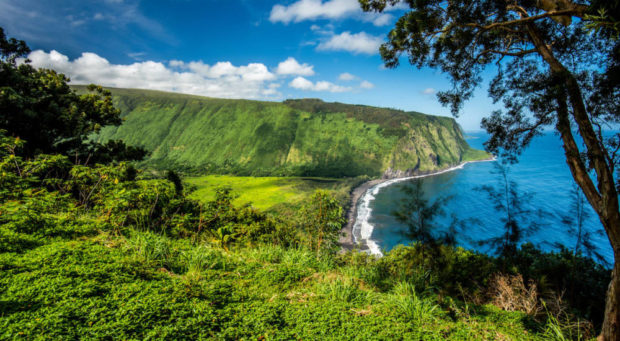 waipi'o valley overlook