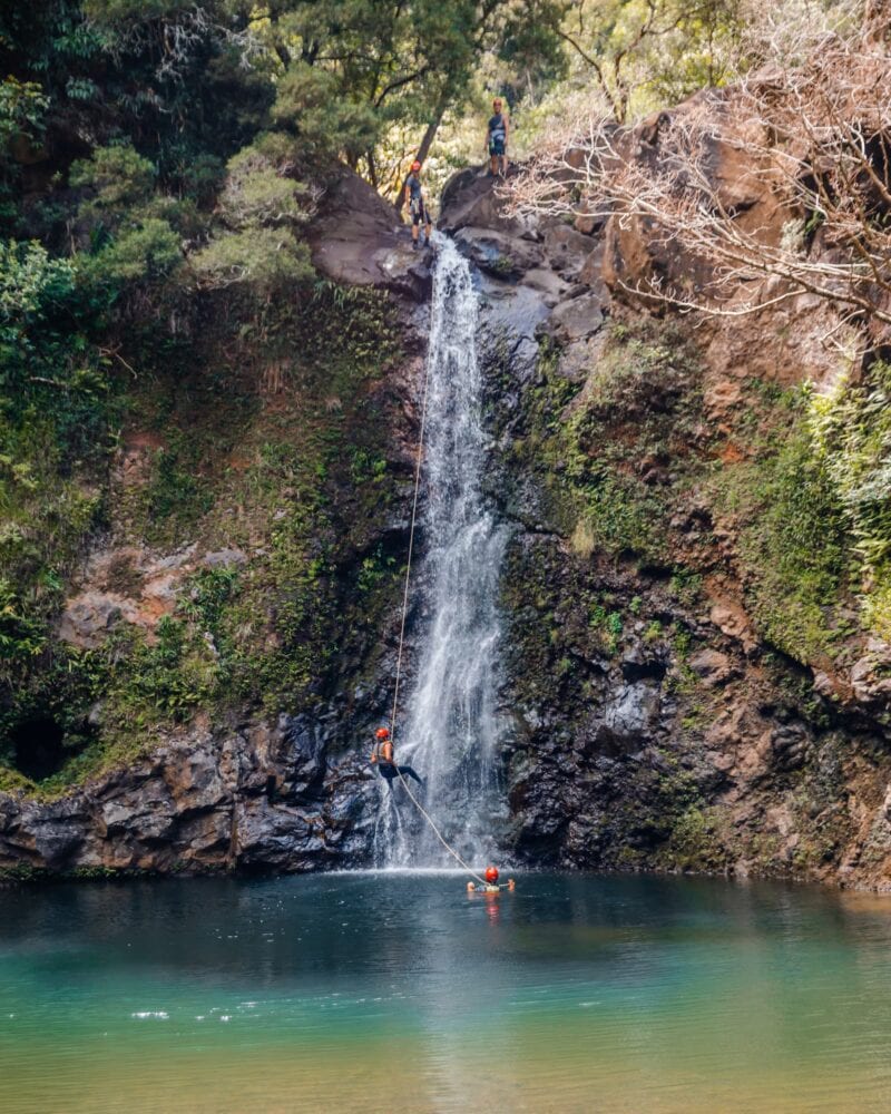Rappel down a waterfall om Maui!