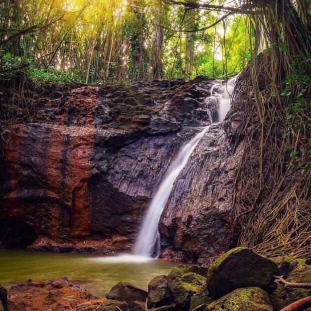 View of the waterfall base reached on the Kipu Ranch Kauaʻi UTV tour