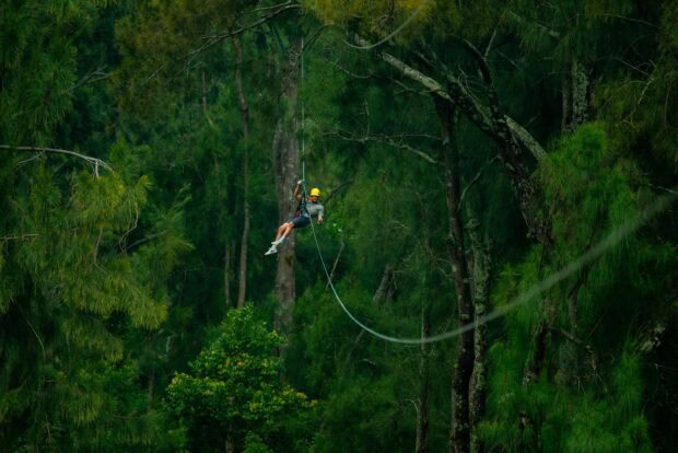 Small figure of a zipline rider on a long cable high over a deep green forested gulch